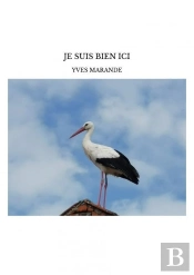 Je Suis Bien Ici