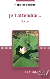 Je T'Attendrai...