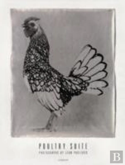 Bertrand.pt - Jean Pagliuso: Poultry Suite