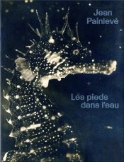 Jean Painlevé : Les Pieds Dans L'Eau