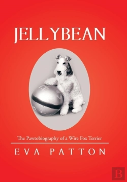 Bertrand.pt - Jellybean