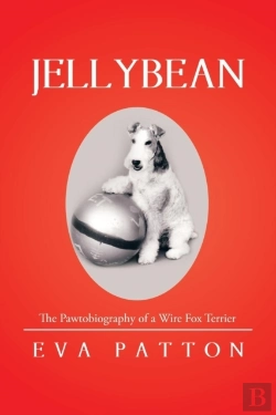 Bertrand.pt - Jellybean