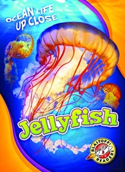 Bertrand.pt - Jellyfish