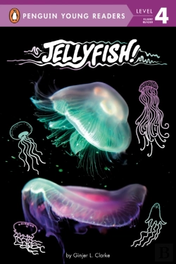 Bertrand.pt - Jellyfish!