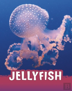 Bertrand.pt - Jellyfish