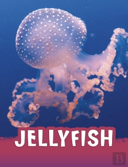 Bertrand.pt - Jellyfish