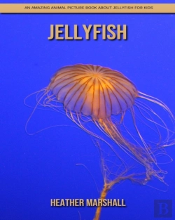 Bertrand.pt - Jellyfish