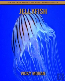Bertrand.pt - Jellyfish