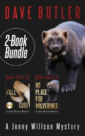 Jenny Willson Mystery 2-Book Bundle
