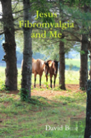 Jesus Fibromyalgia And Me