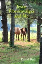 Jesus Fibromyalgia And Me