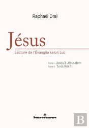 Jesus,Une Lecture De L'Evangile Selon Luc (2 Vols)