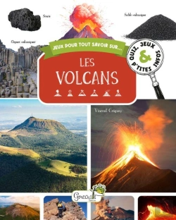Bertrand.pt - Jeux Pour Tout Savoir Sur... : Les Volcans