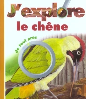 J'Explore Le Chene De Tout Pres