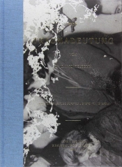 Joan Fontcuberta. Miradas De Asturias: Trauma