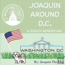 Bertrand.pt - Joaquin Around Washington Dc