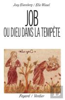 Job Ou Dieu Dans La Tempête