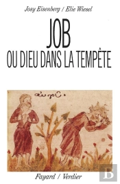 Job Ou Dieu Dans La Tempête