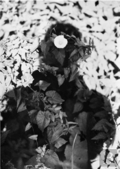 Jochen Lempert