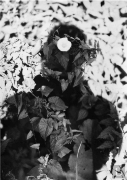 Bertrand.pt - Jochen Lempert
