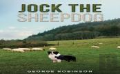 Jock The Sheepdog
