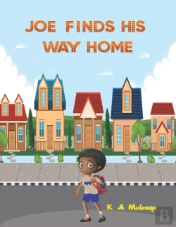 Bertrand.pt - Joe Finds His Way Home: A Good Children'