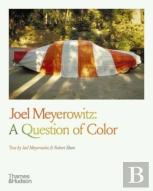 Joel Meyerowitz: A Question Of Color