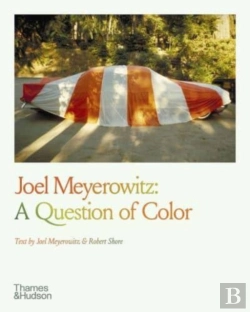 Bertrand.pt - Joel Meyerowitz: A Question Of Color