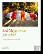 Joel Meyerowitz En Color