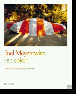 Bertrand.pt - Joel Meyerowitz En Color