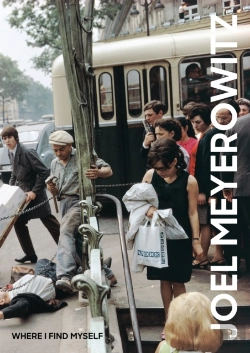 Bertrand.pt - Joel Meyerowitz: Where I Find Myself