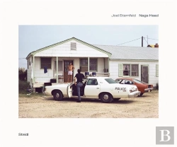 Bertrand.pt - Joel Sternfeld Nags Head /Anglais