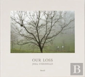 Joel Sternfeld Our Loss /Anglais