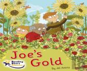 Joe'S Gold