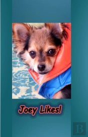 Joey Likes