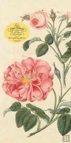 Bertrand.pt - John Derian Paper Goods: Everything Roses Notepad