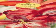 John Derian Paper Goods: In The Garden 80-Page Notepad