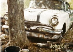 Bertrand.pt - John Salt