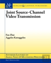 Joint Source-Channel Video Transmission