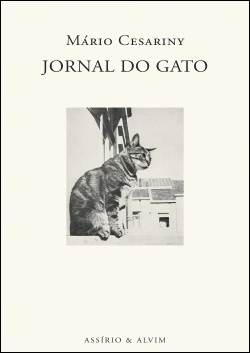Bertrand.pt - Jornal do Gato