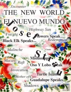 Bertrand.pt - Josef Strau Â€“ The New World 2, Travels In Turtle Island