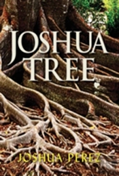 Joshua Tree