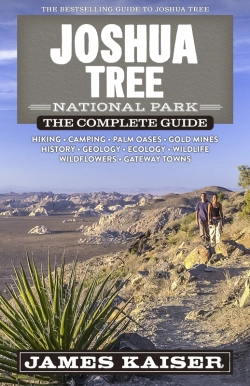 Bertrand.pt - Joshua Tree National Park: The Complete Guide