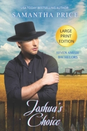 Joshua'S Choice Large Print