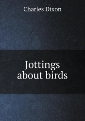 Jottings About Birds