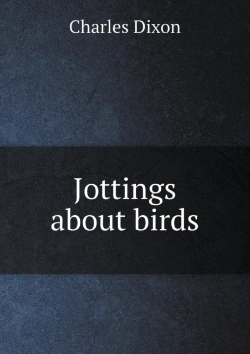 Bertrand.pt - Jottings About Birds