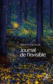 Journal De L'Invisible - Exercices A L'Usage De L'Ame