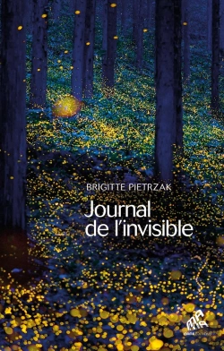 Bertrand.pt - Journal De L'Invisible - Exercices A L'Usage De L'Ame