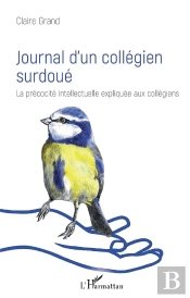 Journal D'Un Collégien Surdoué ; La Précociée Intellectuelle Expliquée Aux Collégiens