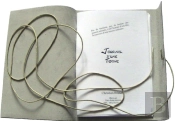 Journal D'Une Teigne